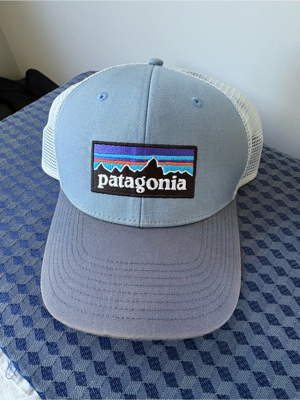 Patagonia Light Blue and White Trucker Hat with Multicolor Logo